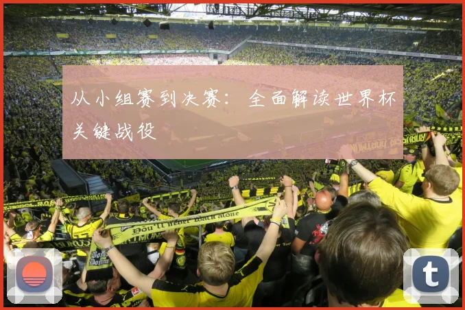 从小组赛到决赛：全面解读世界杯关键战役